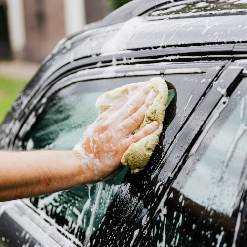 Pexels Karolina Grabow - osren.com.au